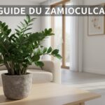 Zamioculcas aux feuilles luisantes dans un pot en pierre sur une table en chêne clair dans un salon lumineux avec le texte GUIDE DU ZAMIOCULCAS.
