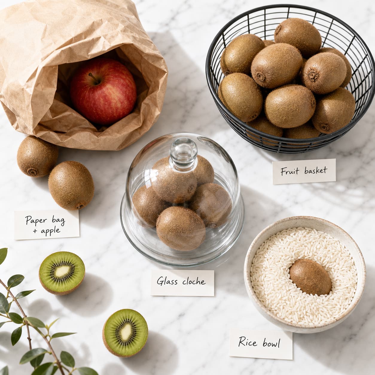 Photographie en plongée de différentes méthodes de maturation de kiwis disposées sur un comptoir en marbre blanc, avec un sac en papier, un panier métallique, une cloche en verre, un bol de riz et des étiquettes manuscrites.
